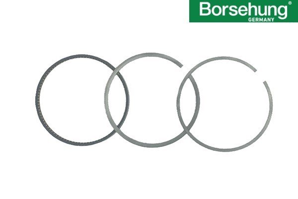 MOTOR-SEGMAN STD 76.51 MM (ADET) BORSEHUNG Germany / 1.4-1.6 16V BCB-AZD-BKY-BUD-BBZ-AEE /