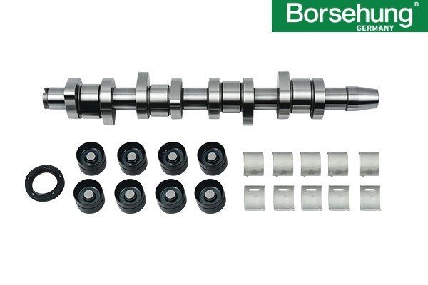 MOTOR-EKSANTRİK MİLİ TAMİR KİTİ BORSEHUNG Germany / T5-CA-PA-A4-SUP 1.9 TDI AXB-AXC-BJB-AVF /