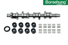 MOTOR-EKSANTRİK MİLİ TAMİR KİTİ BORSEHUNG Germany / T5-CA-PA-A4-SUP 1.9 TDI AXB-AXC-BJB-AVF /