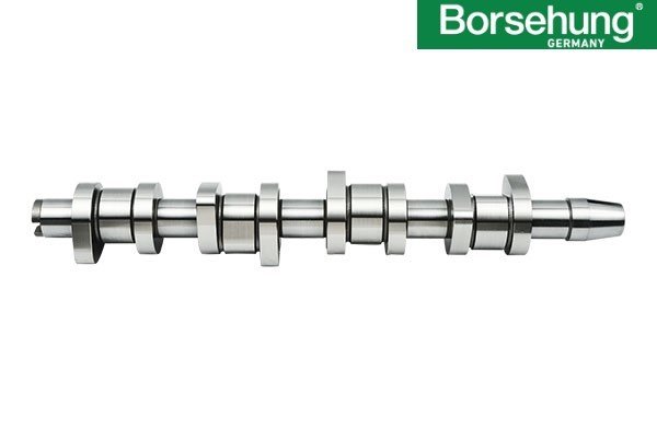 MOTOR-EKSANTRİK MİLİ ( Çelik ) BORSEHUNG Germany / 1.9-2.0 TDI-AVF-BJB-AXB-BKC-BXE /