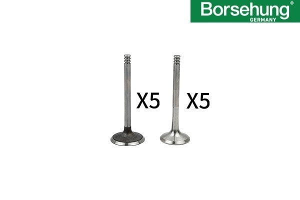 MOTOR-SUBAP TAKIMI ( 7 MM ) 5 Cyl BORSEHUNG Germany / T5 2.5 TDI AXD-AXE /