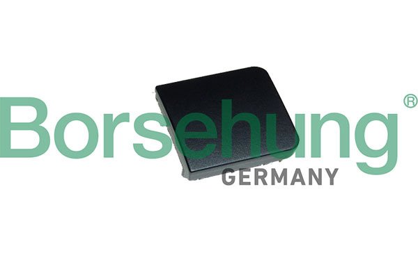 ELEK-DÜĞME BOŞ (KÖR) KAPAK BORSEHUNG Germany / CA-GO-JE-SCI-TOU /