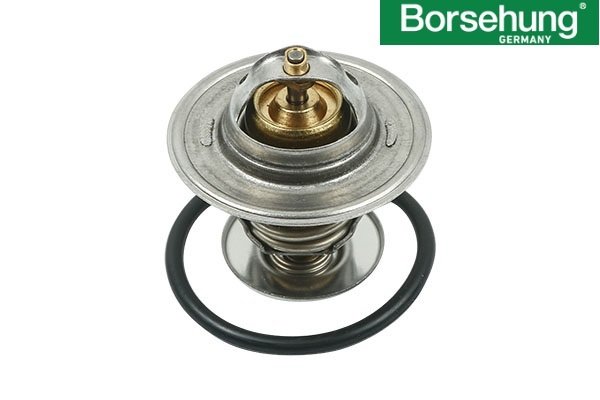 SOĞUTMA-TERMOSTAT & ORING 87-102 C BORSEHUNG Germany / A3-A4-BO-CA-CO-IB-FAB-GO-JE AMF-AGR-BJB-BKG /