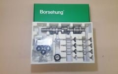 MOTOR-EKSANTRİK MİLİ TAMİR KİTİ ( Subaplı ) BORSEHUNG Germany / PO-FAB-IB-CO 1.4 TDI AMF-BNM-BNV /