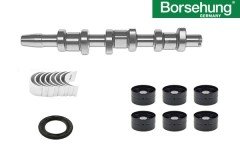 MOTOR-EKSANTRİK MİLİ TAMİR KİTİ BORSEHUNG Germany / PO-FAB-IB-CO 1.4 TDI AMF-BNM-BNV /